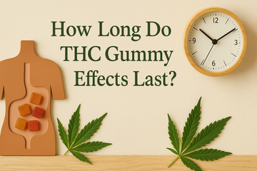 How Long Do THC Gummy Effects Last? Your Complete Duration Guide