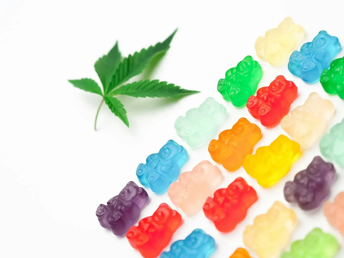 What Are Delta 9 Gummies? A Beginner's Guide to THC Edibles
