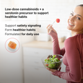 Crave Control Gummies - With CBG, CBD and THCV
