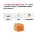Feel Good - Mood Enhancement Gummies with D-9 and Panax Ginseng