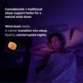 Lights Out - Better Sleep Gummies